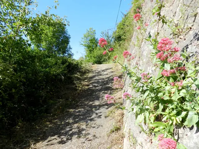 Promenade du Tarn.jpg