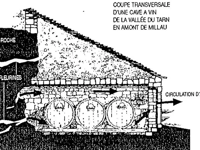 Coupe transversale cave.JPG