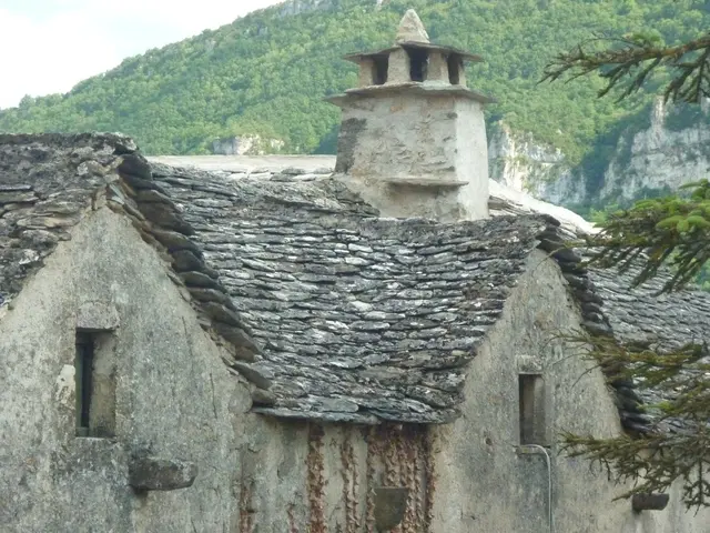 Cheminée cJL Bringuier.JPG