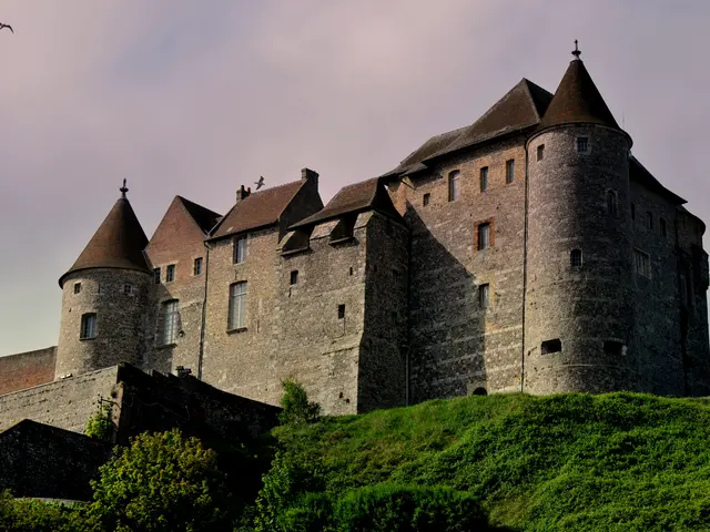 Decaux. Chateau musée (170).JPG