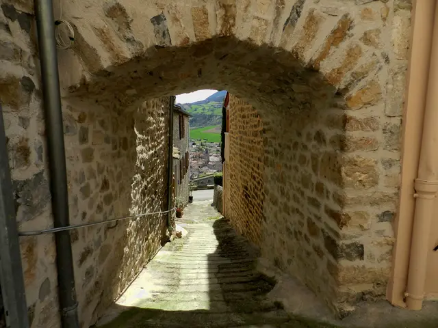 porte du Valat_porte Royale.jpg