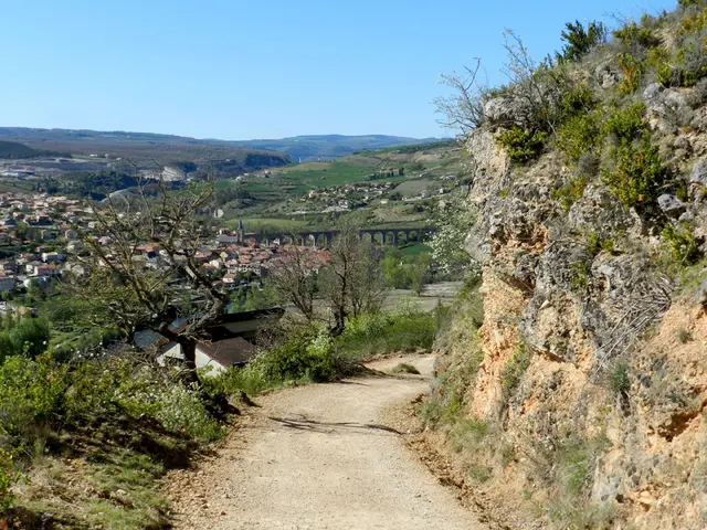 sentier cerise 4.jpg