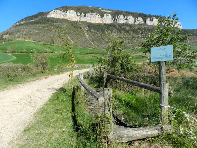 sentier cerise 9.jpg