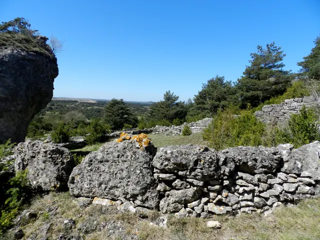enclos 2.jpg