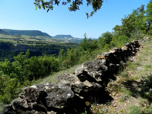 sentier.jpg