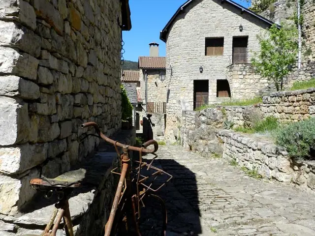 ambiance 3.jpg