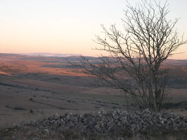 nature_vaste_etendue