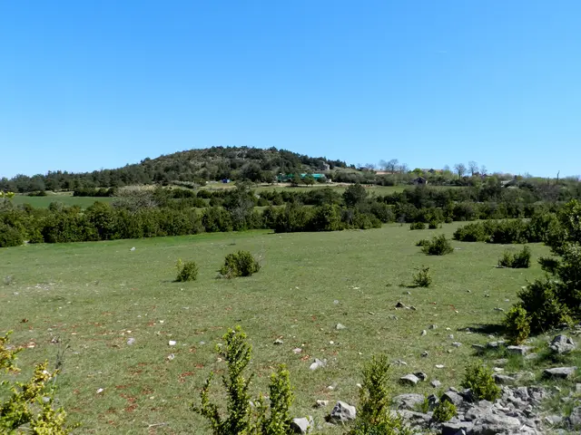 paysage 2.jpg