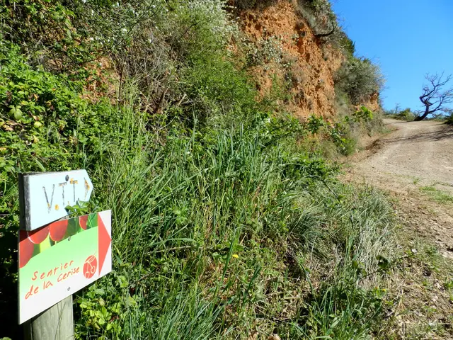sentier cerise 3.jpg
