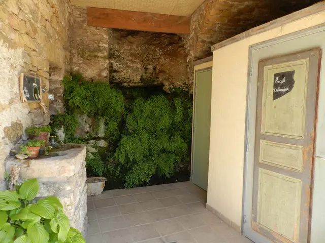 toilettes publiques.jpg