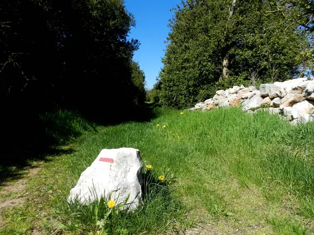 buissière.jpg