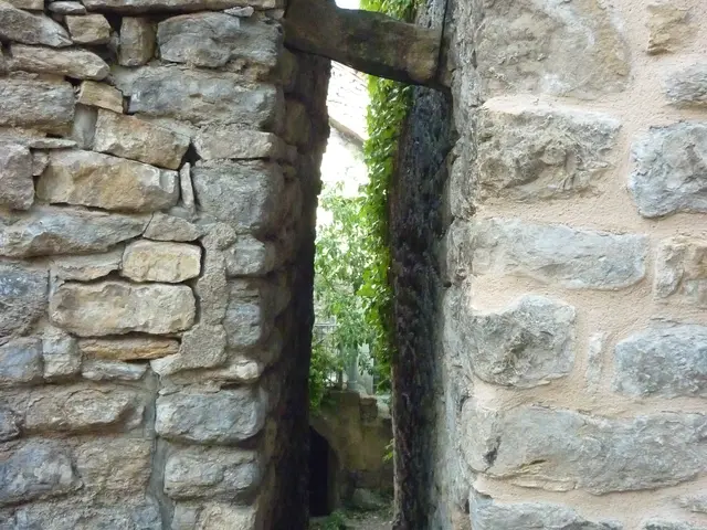 Venelle cJL Bringuier.JPG