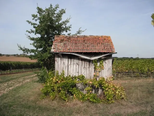 Cabane-au-croisement---02.jpg