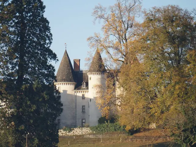 02-Chemin-de-Caux-la-Maziere-POI-Chateau-de-Brignac---Credit-OT-Noblat-Julie.jpg