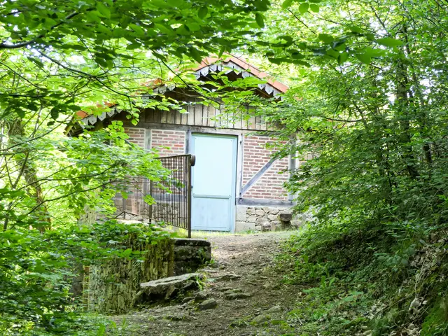 saint-junien-2020-amel-elmalah-chalet-corot.jpg