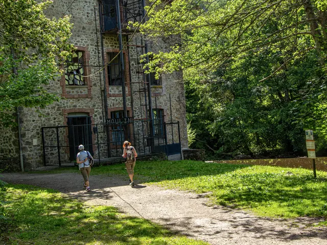 saint-junien-2021-amel-elmalah-moulin-brice.jpg
