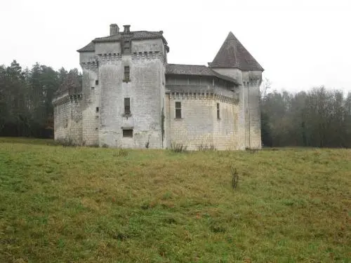 Chateau-de-caussade-3.jpg