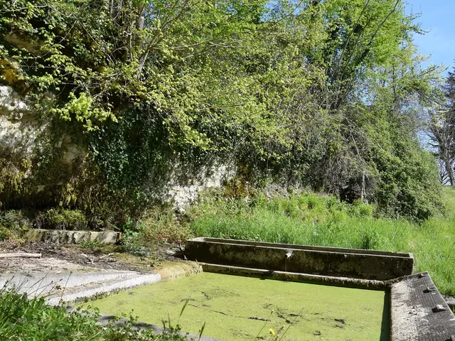 Chanterac-lavoir-Longecote-2-SIRT.jpg