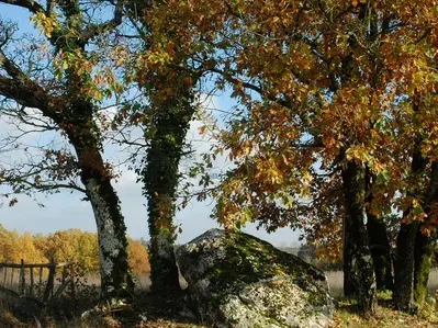 Dolmen-Campguilhem---02.jpg