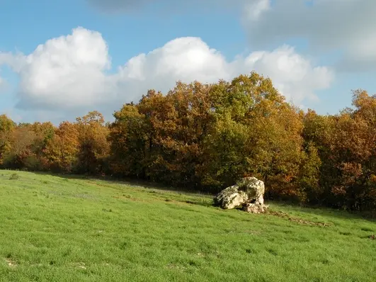 Dolmen-pres-Micalie-23-11-01.jpg