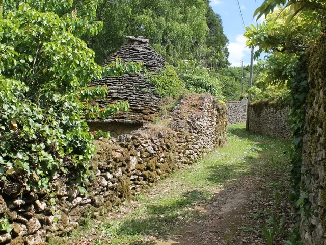 chemin-nerval-salamandre.JPG