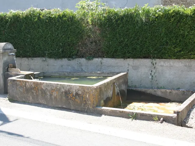 lavoir-de-fissard-vallereuil.JPG