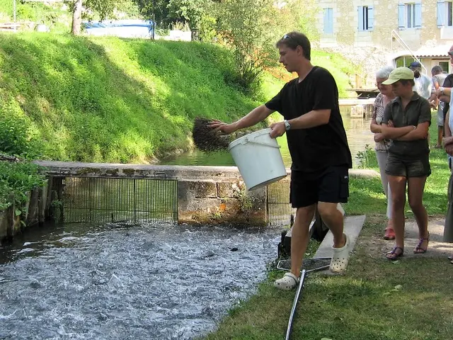 pisciculture-moulin-boissonnie-randonnee.jpg