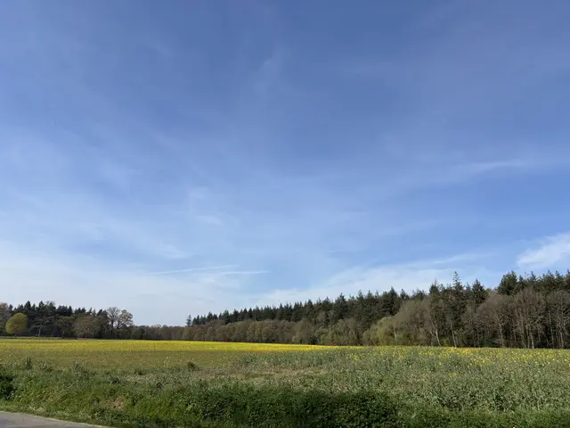 Cardroc--3-.jpeg