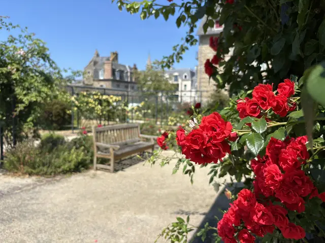 Roses-Roseraie-Saint-Anne--4-.JPEG