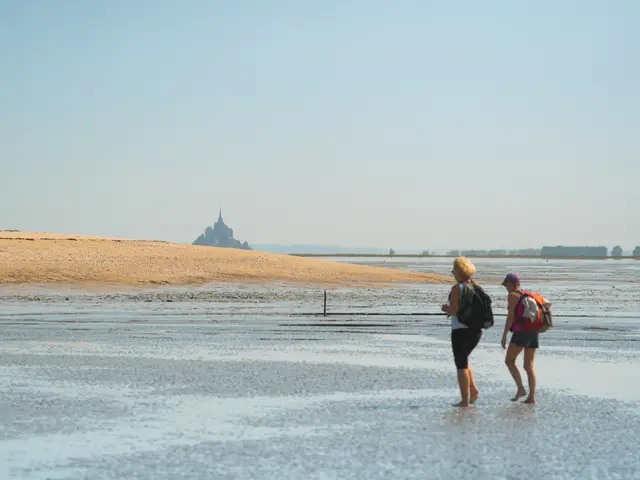 Sortie-nature---Maison-de-la-Baie---Baie-du-Mont-Saint-Michel-Thibault-Poriel-5090-2.JPG