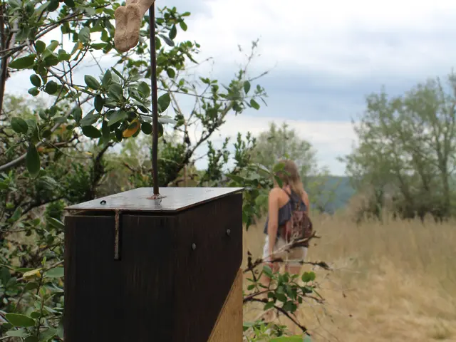 7_Arcambal_le grand plongeon.jpg