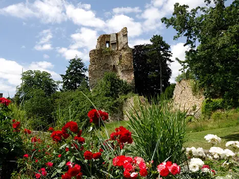 Saint-Aubin-du-Cormier-ruine-Yannick-Le-Gal.jpg