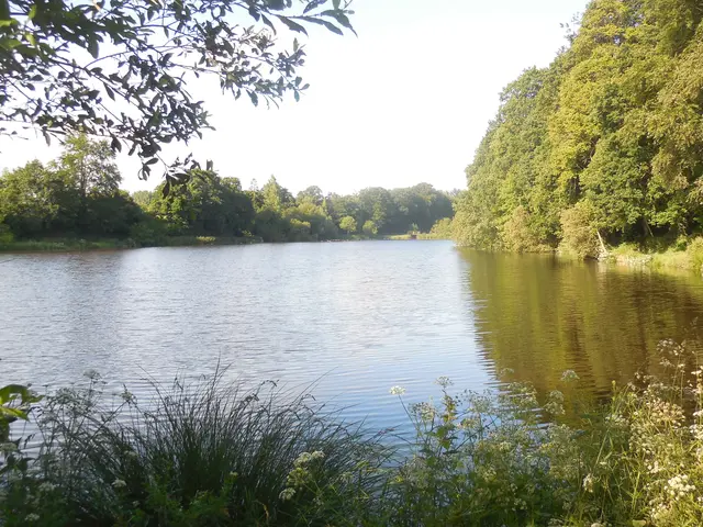 DSCN2426.JPG