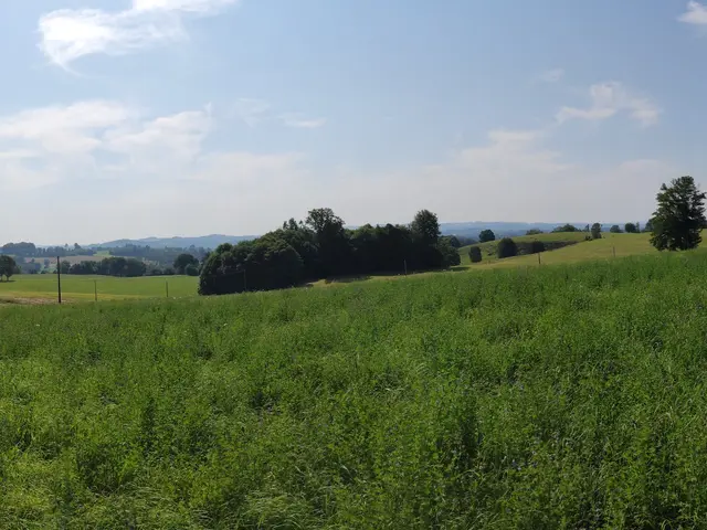 Champnetery--Vue-sur-la-vallee-de-la-Maulde---Pays-Monts-et-Barrages---Aurelien-Clavreul---copie-2.jpg