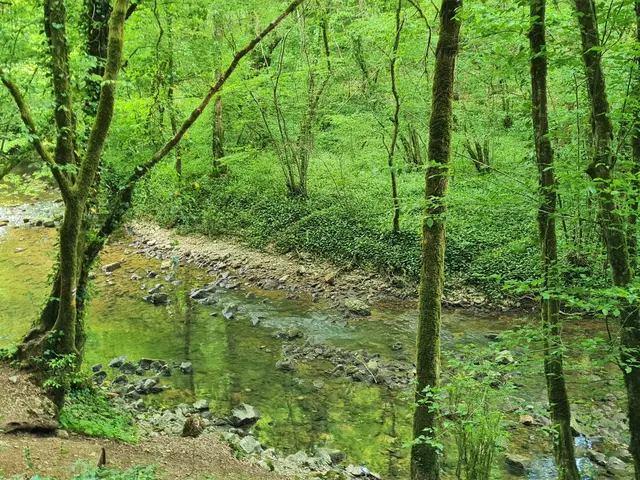 Le long de l_Alzou, au printemps©Département du Lot.jpg