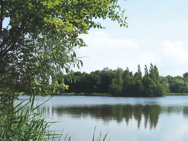 -OT-SMBMSM-Etang-du-Pas-Gerault2.jpg