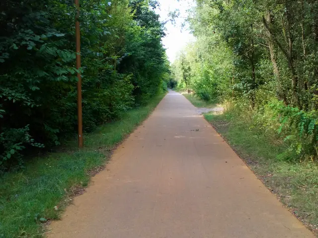 3557157_gueules_noiresjpg.jpg