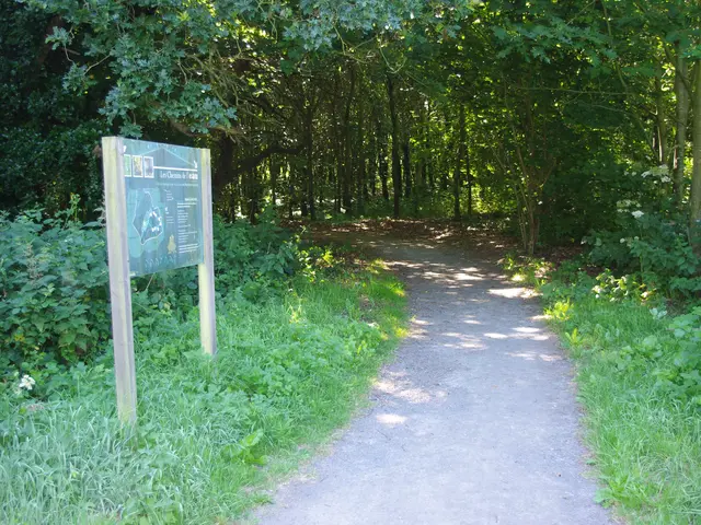 entree-du-sentier-5.JPG