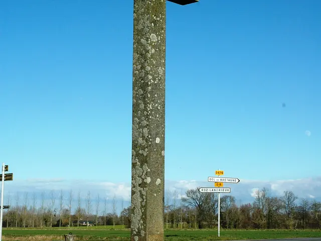 croix-du-bois-au-coq----OT-SMBMSM.JPG