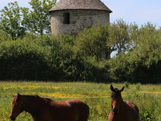Moulin-et-chevaux---Saint-Jouan-des-Guerets-SMBMSM-3255-1200px.JPG