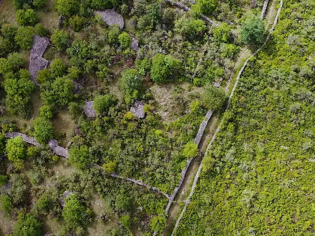 Cayrou et parcellaire © Nicolas Taillardas-Département du Lot.jpg