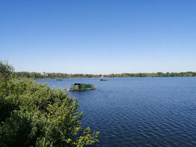 8955620_vue_du_pont_point_3jpg.jpg
