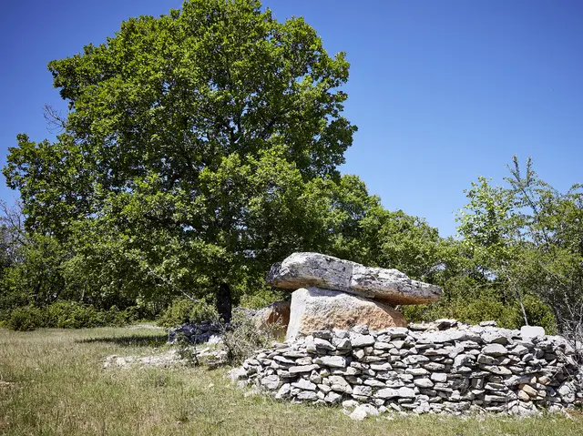 Dolmen © Nelly Blaya-Département du Lot.jpg