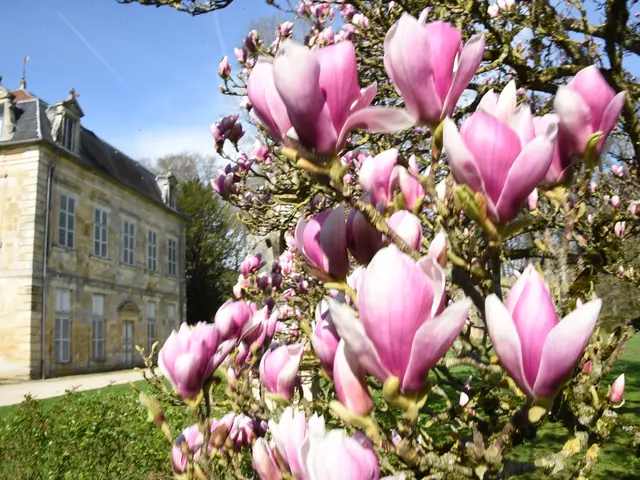 Trois Fontaines - DSC_6168.jpg