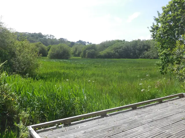 DSCN2816.JPG