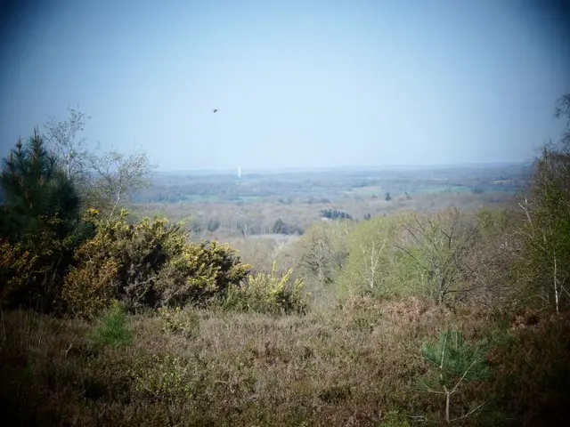 Point-de-vue-sur-la-Charente.JPG
