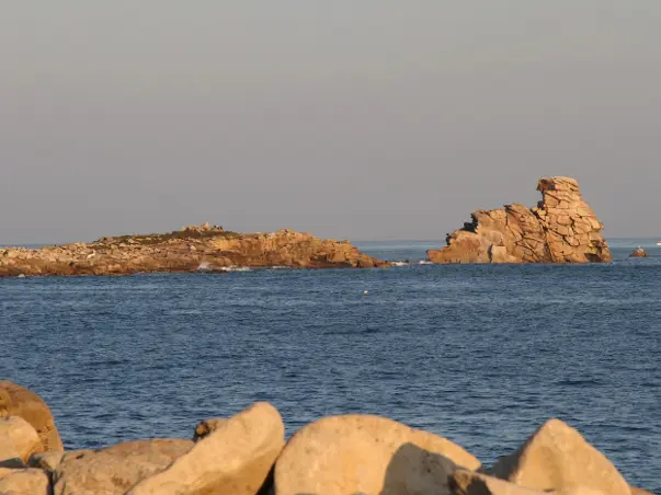 Ile-Grande-credit-photo-Yvon-l-Hereec--12-.jpg