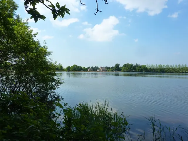Etang-de-La-Bezardiere-OTSMBMSM.JPG