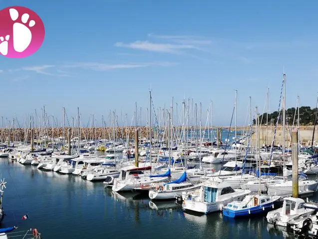 Port-de-Plaisance-Trozoul.jpg
