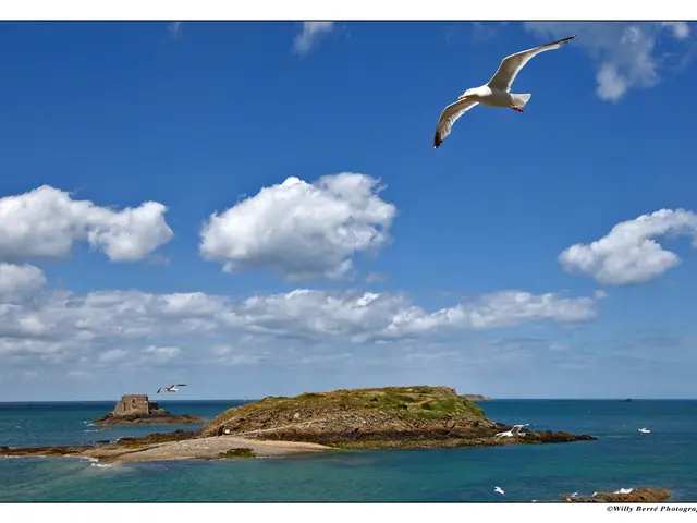 -willy-berre--le-grand-be-et-le-petit-be---Saint-Malo.jpg